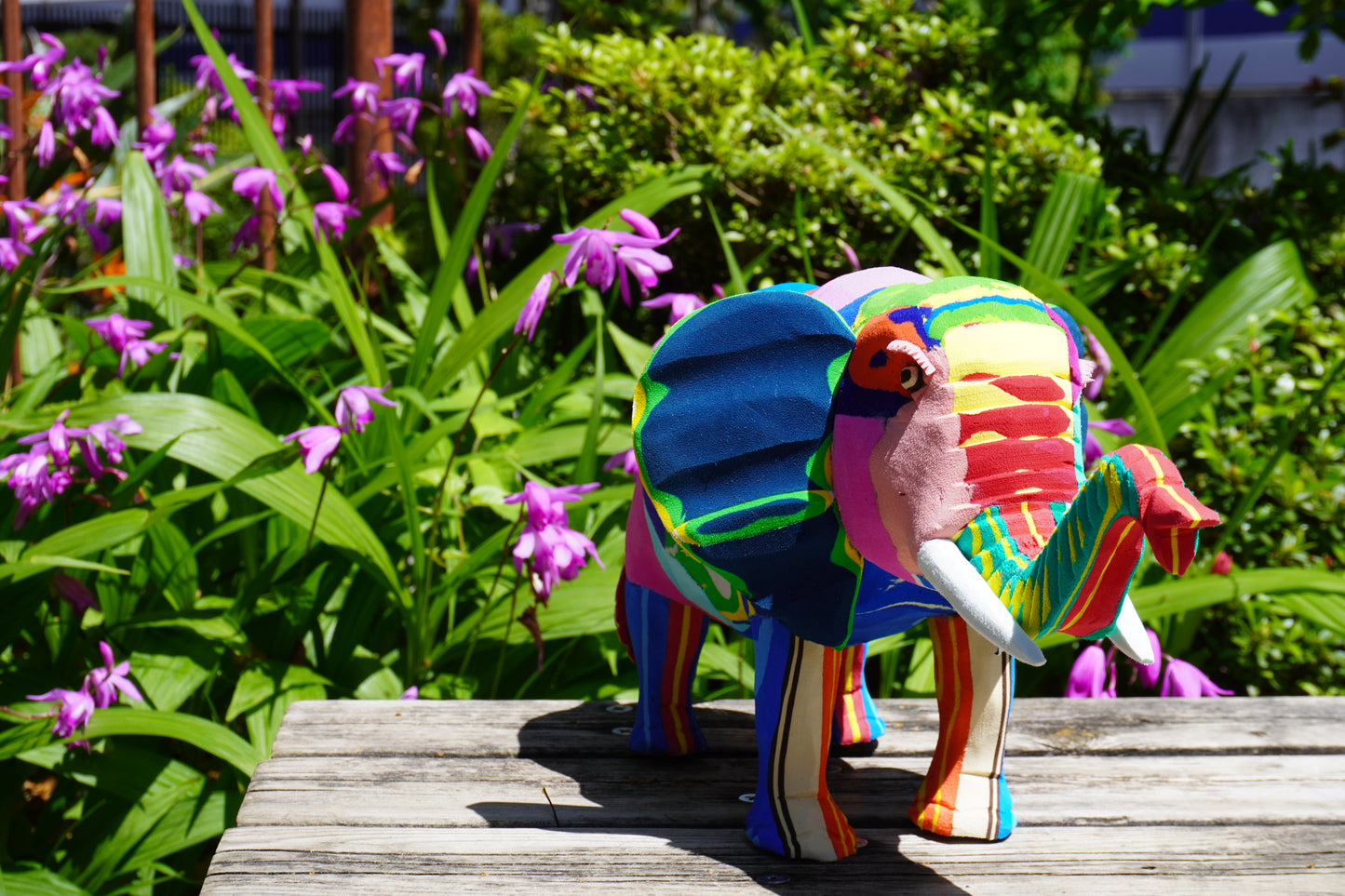 Elephant