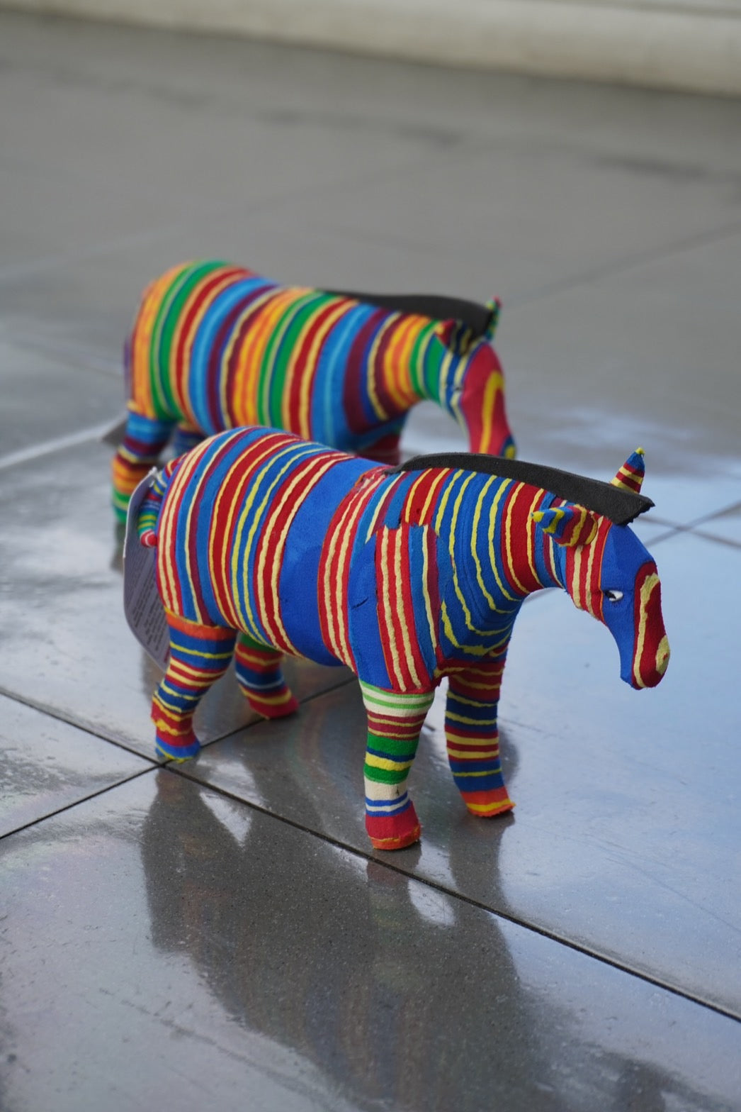 Zebra