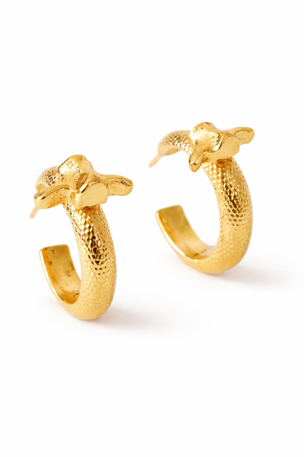 Kathiani Hoop Earrings