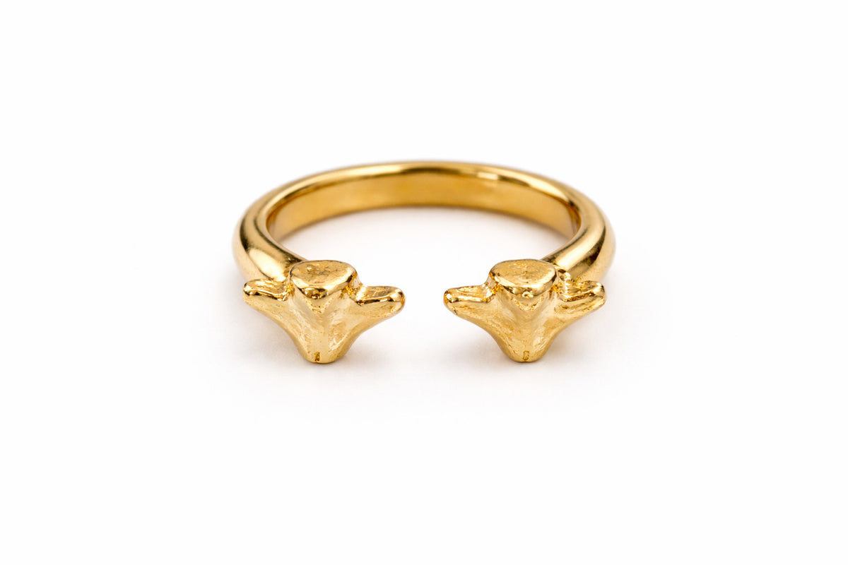 Kathiani Twin Ring