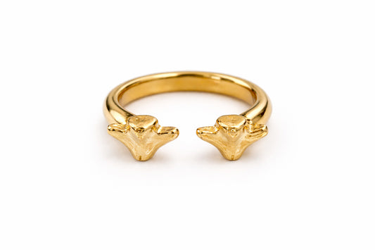 Kathiani Twin Ring